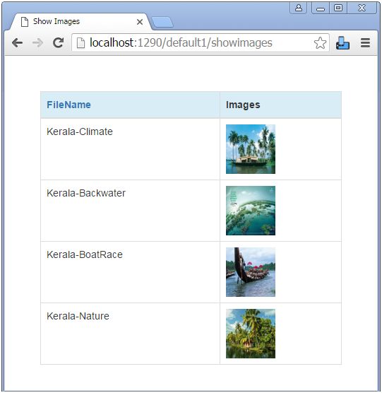 Displaying Images in WebGrid